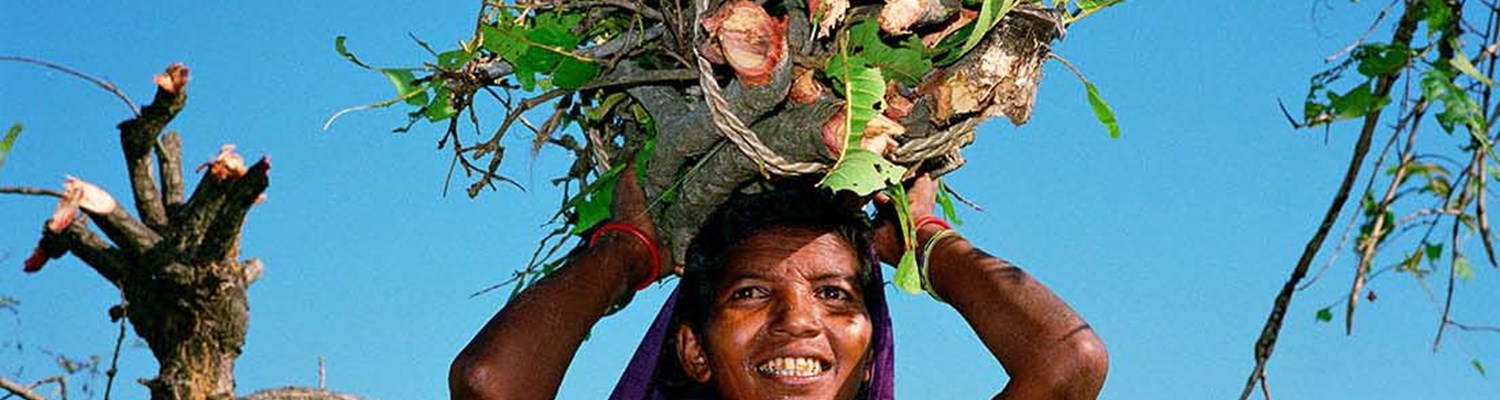 Out of the cocoon, 1997