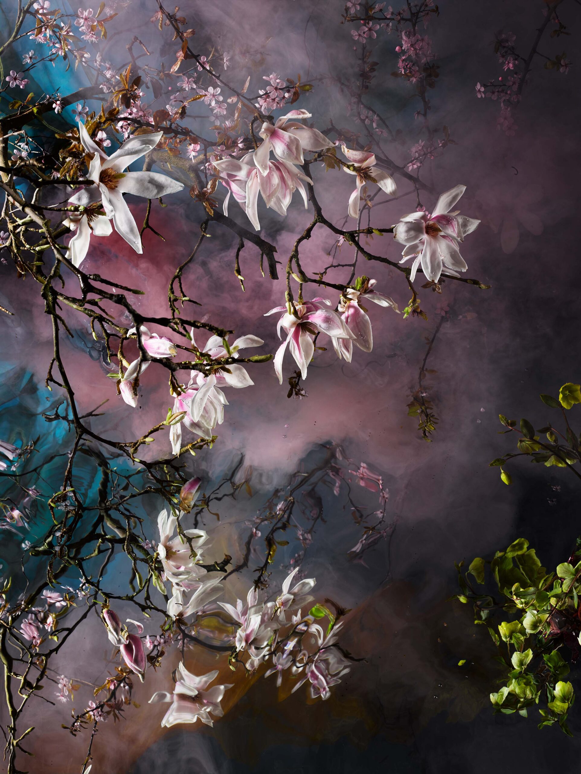 When the Hurlyburly’s Done