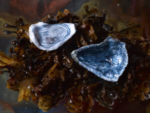 Pulse to Pulse (open)