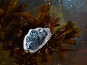 Shining softly in the Moonlight