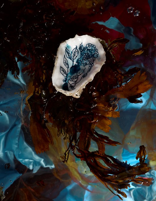 Stay well in your Shell