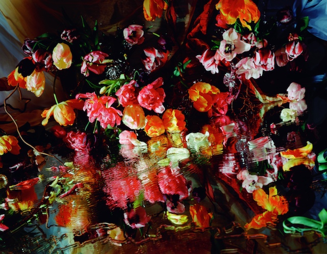Margriet Smulders’ lush and strangely erotic tableaux entice you into another world