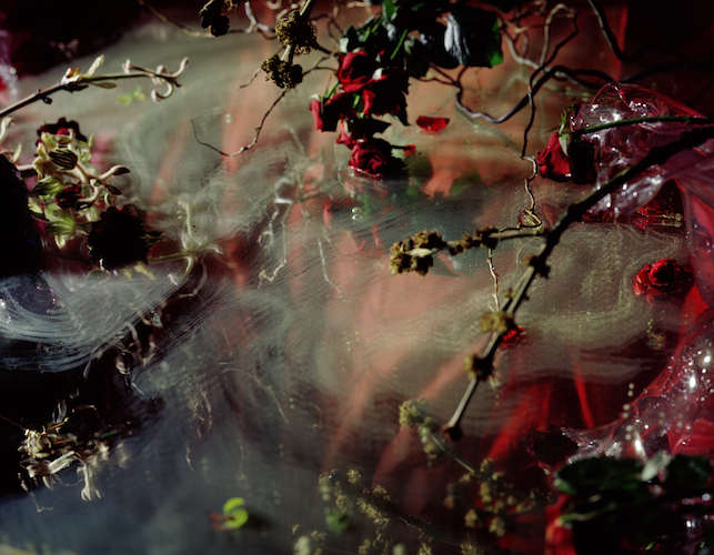 Simple Beauty Proves Challenging at Hagendorn Foundation Gallery